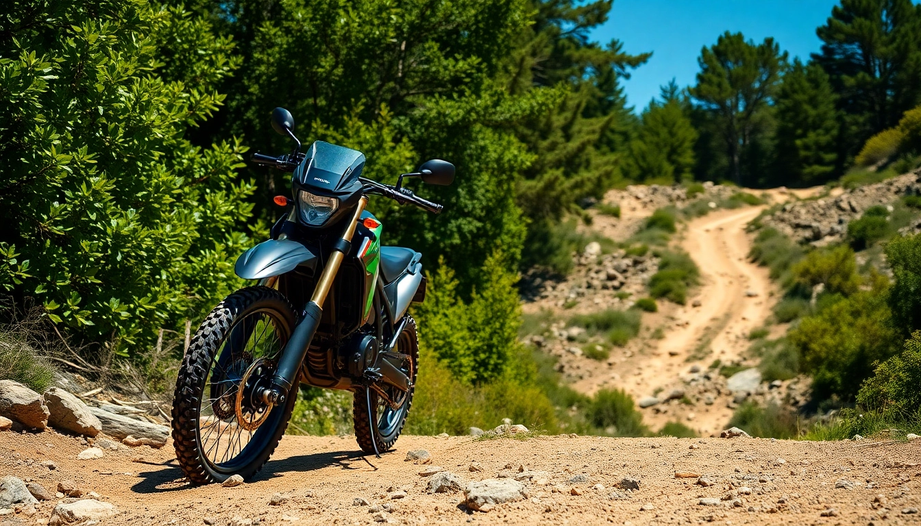 Experience the dynamic Altis Sigma 98v electric dirt bike on an adventurous trail.